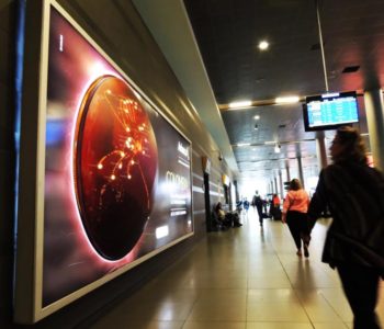 APLICACIONES ESPECIALES (8)