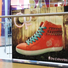 VIDRIOS EN RUTA CC CENTRO MAYOR (1)